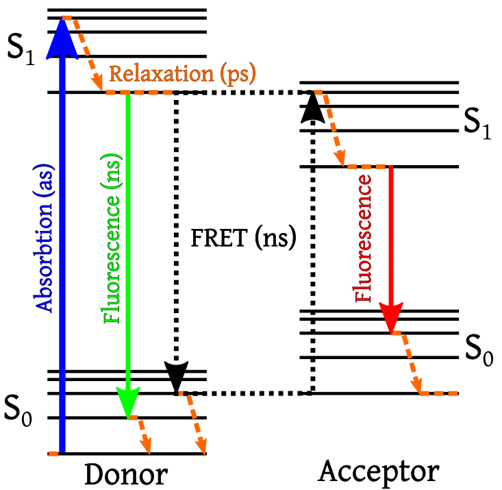 733px-FRET_Jabolinski_Diagram.svg