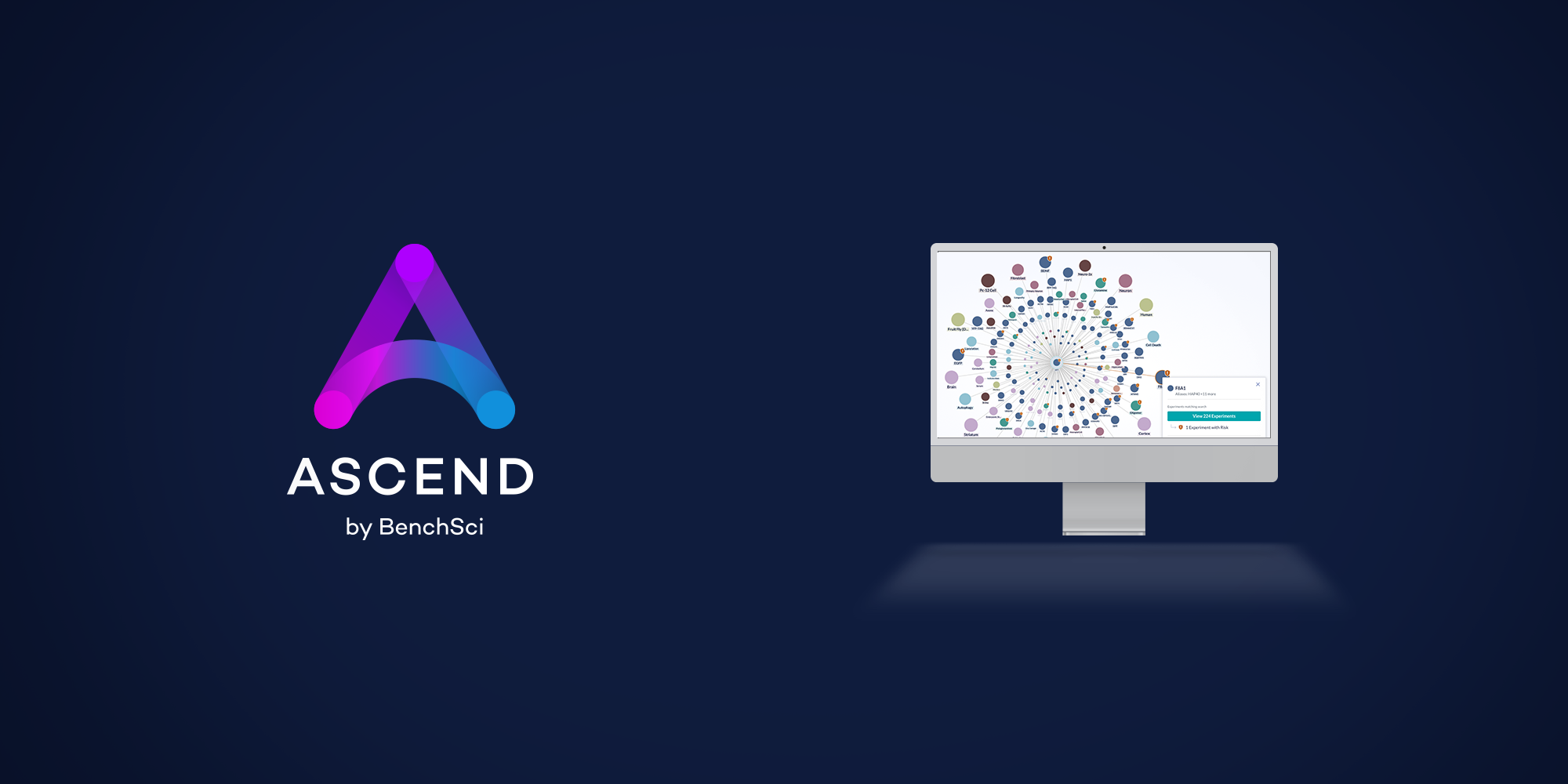 Introducing ASCEND™ by BenchSci, our innovative new AI platform with the power to transform preclinical pharmaceutical research